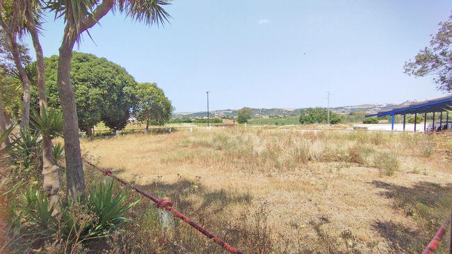 Ref2536M Andalusien, Arcos de la Frontera - Finca mit Stierkampfarena, Gewerbehallen, Reitplatz .., Sabine Wesseln, Maras World of Horses (Maras World Solutions S.L.), Equestrian Properties, Chiclana de la Frontera, Image 3