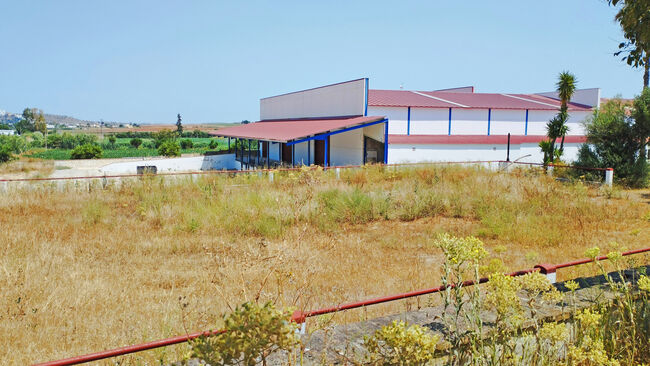 Ref2536M Andalusien, Arcos de la Frontera - Finca mit Stierkampfarena, Gewerbehallen, Reitplatz .., Sabine Wesseln, Maras World of Horses (Maras World Solutions S.L.), Equestrian Properties, Chiclana de la Frontera, Image 4