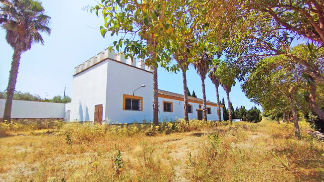 Ref2536M Andalusien, Arcos de la Frontera - Finca mit Stierkampfarena, Gewerbehallen, Reitplatz .., Sabine Wesseln, Maras World of Horses (Maras World Solutions S.L.), Equestrian Properties, Chiclana de la Frontera