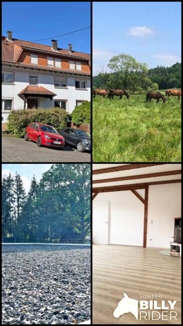 Ref2539 Hessen, Vogelsbergkreis, Schlitz, Haus mit Pferdestall, Reitplatz zu verkaufen, Sabine Wesseln, Maras World of Horses (Maras World Solutions S.L.), Equestrian Properties, Schlitz, Image 10