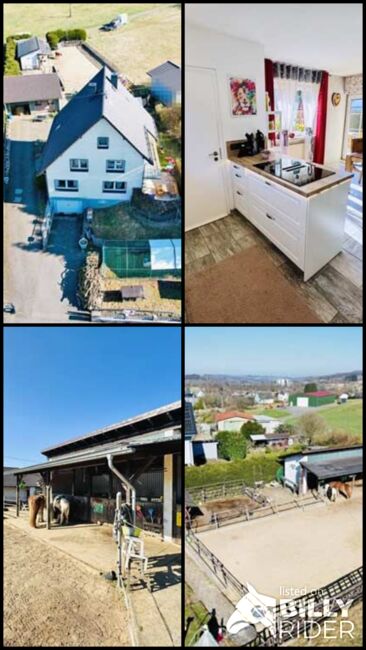 Ref2542MK Rheinland-Pfalz, Westerwald, Bellingen - Haus mit Pferdehaltung, Sabine Wesseln, Maras World of Horses (Maras World Solutions S.L.), Pferdeimmobilien, Bellingen, Abbildung 8
