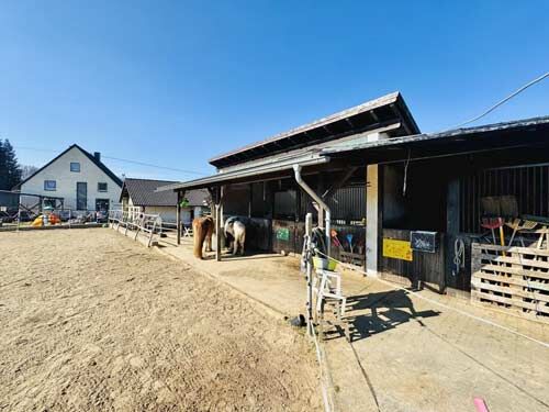 Ref2542MK Rheinland-Pfalz, Westerwald, Bellingen - Haus mit Pferdehaltung, Sabine Wesseln, Maras World of Horses (Maras World Solutions S.L.), Equestrian Properties, Bellingen, Image 7