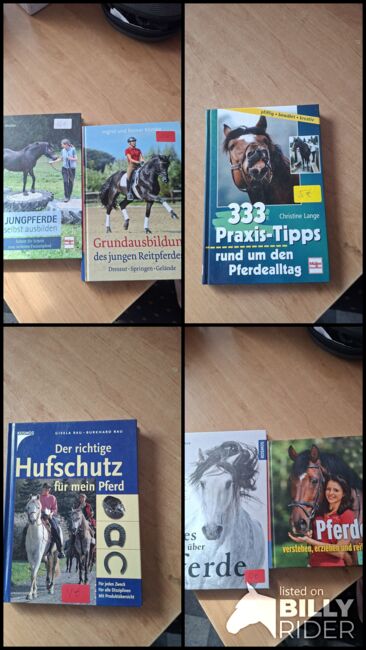 Pferdefachbücher zu verkaufen, Simone Placke, Books, Wallenhorst, Image 9