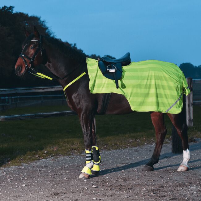 Reflektierende Ausreitdecke, Busse, Doris Sperber, Horse Blankets, Sheets & Coolers, Langenzenn