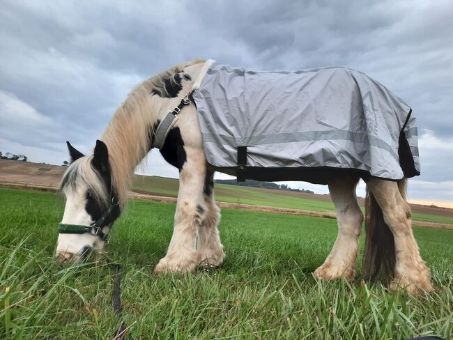 Reflektordecke Größe COB/140cm, Maria Neumeier, Reflective Horse Wear, Laberweinting