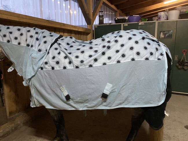 Regen/- Fliegendecke, Talisa , Horse Blankets, Sheets & Coolers, Kulmain