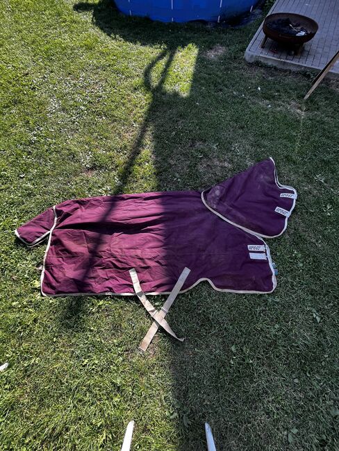 Regendecke 145/200g, AMIGO, Jessi, Pferdedecken, Berwangen