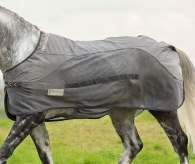 Regendecke Fliegendecke Kombi Regen-Fliegendecke 145cm, ELT Comfort, Juliane, Horse Blankets, Sheets & Coolers, Bayreuth 