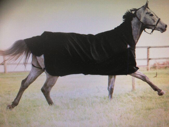 Regendecke High Neck 135 cm, horze Regendecke, Sandra Zeisberg, Horse Blankets, Sheets & Coolers, Spenge