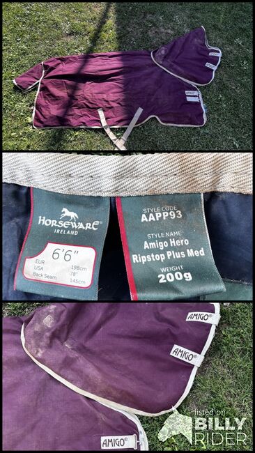 Regendecke 145/200g, AMIGO, Jessi, Horse Blankets, Sheets & Coolers, Berwangen, Image 4