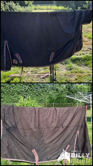 Regendecke, Yvonne , Horse Blankets, Sheets & Coolers, Velen, Image 3