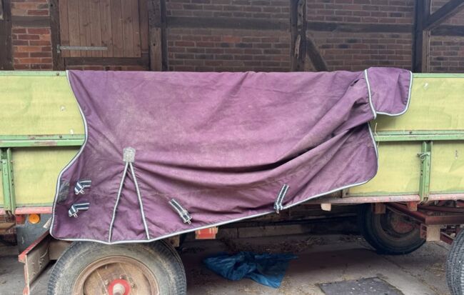 Regendecke 155cm 0g Outdoor Highneck Decke, Thermo Master Krämer Thermo Master Outdoor Highneck, Anna, Horse Blankets, Sheets & Coolers, Emmerthal