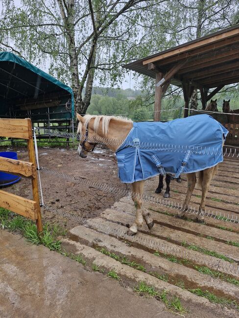 Regendecke,  0gr., 105cm, 3000mm, Tanja Weber , Horse Blankets, Sheets & Coolers, Mauschbach