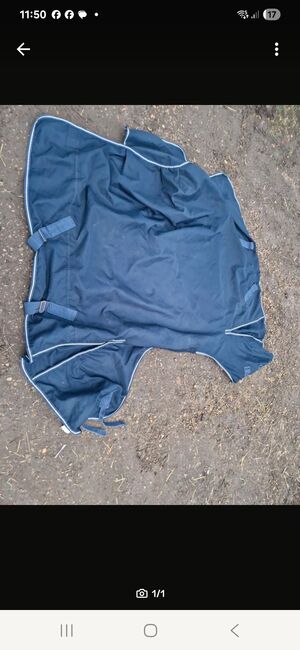 Regendecke 125 50g, JW, Horse Blankets, Sheets & Coolers, Buchholz 