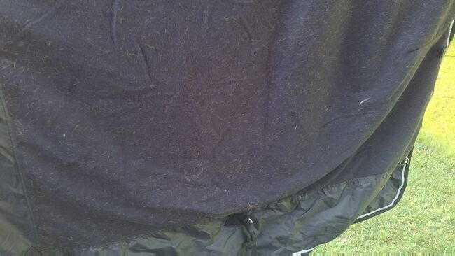 Regendecke, Regina , Horse Blankets, Sheets & Coolers, Bentwisch, Image 3