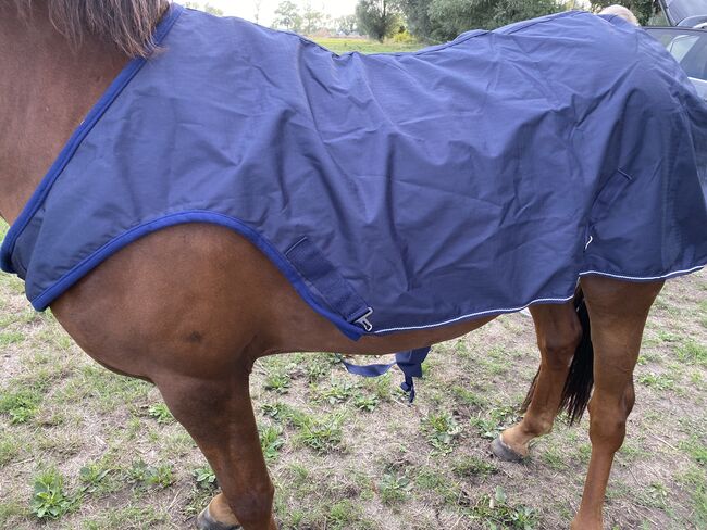 Regenfeste Walker Activity Decke, Cordula Folgner, Horse Blankets, Sheets & Coolers, Berlin , Image 2