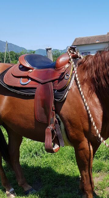 Reining Sattel, The Reining Authority, Aileen, Western Saddle, Kägiswil