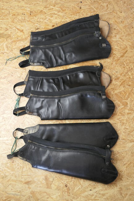 Reit Chaps - Stiefelschaft Chaps, Cavallo, Michael, Half Chaps, Marktredwitz