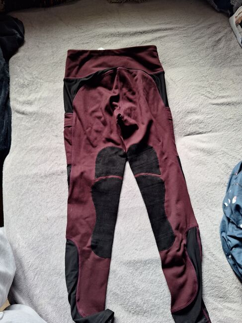 Reit leggings Derby house neu Eu38, Derby house , Larissa gehrke , Breeches & Jodhpurs, Soltau, Image 3