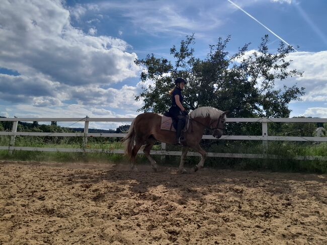 Reitbeteiligung gesucht (Reiterin sucht pferd), Annalena zill , Reitbeteiligungen, Neuhof zenn