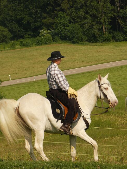Reitbeteiligung bis Hohe Schule o. Pflegebeteiligung für Lusitano bei Stetten, CN, Reitbeteiligungen, Bad Wörishofen, Abbildung 5