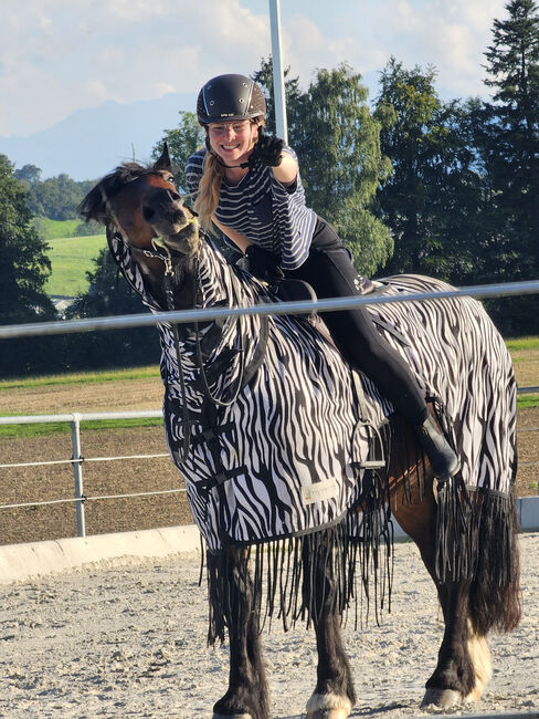 Reitbeteiligung, Aurora, Horse Sharing, Zug