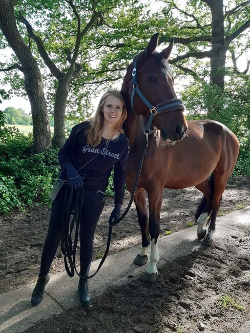 Reitbeteiligung (Pferd sucht Mensch), Daniela, Horse Sharing
, Hetlingen, Image 3