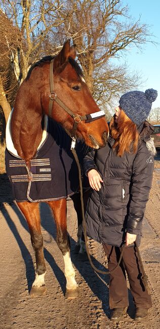 Reitbeteiligung (Pferd sucht Mensch), Daniela, Horse Sharing
, Hetlingen, Image 6