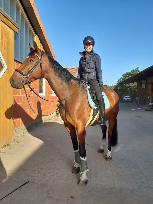 Reitbeteiligung (Pferd sucht Mensch), Daniela, Horse Sharing
, Hetlingen, Image 9