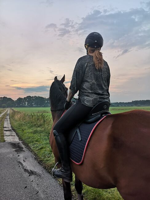 Reitbeteiligung (Pferd sucht Mensch), Daniela, Horse Sharing, Hetlingen, Image 8