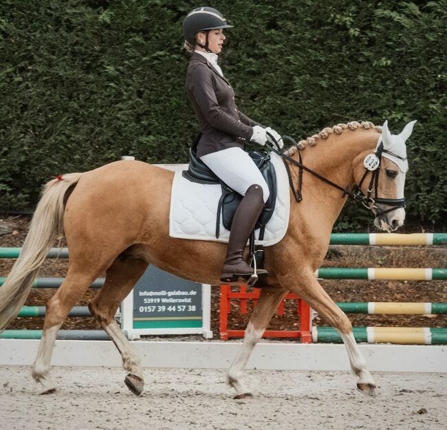 Reitbeteiligung, Isa1, Pferd kaufen, Euskirchen