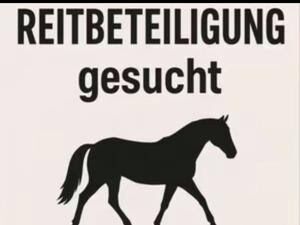 Reitbeteiligung, Elisenhof, Reitbeteiligungen, Merzenich