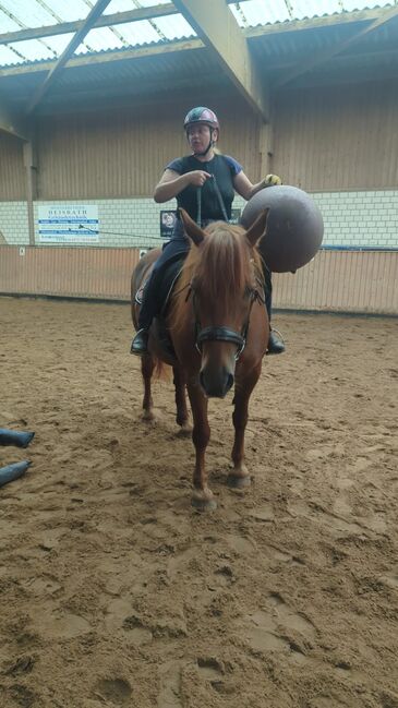 Reitbeteiligung, Sharleena Smith , Reitbeteiligungen, Oberkrämer