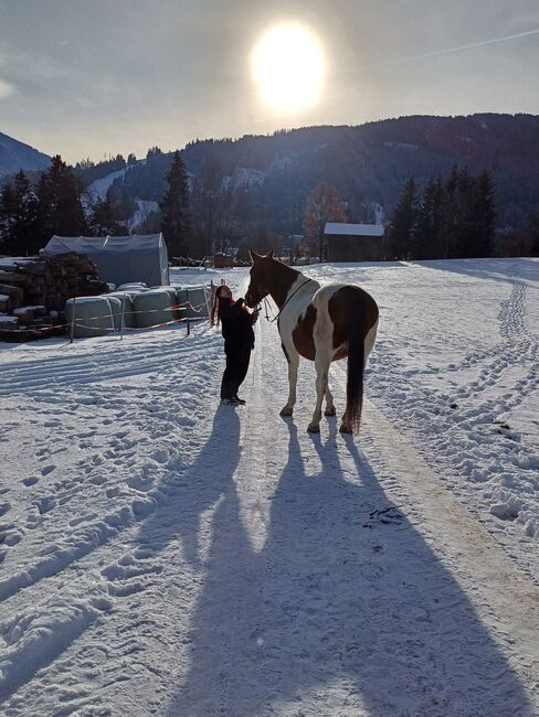 Reitbeteiligung, Sandra Rinker, Reitbeteiligungen, Wattens, Abbildung 6