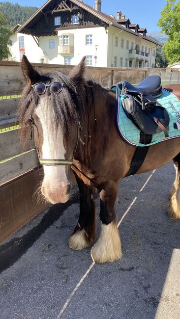 Reitbeteiligung vergeben an meinen 9 Jährigen Wallach, Julia Maar, Horse Sharing, Mieming , Image 9