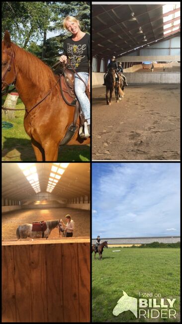 Reiten … mal anders ! Reitunterricht Therapeutisches Reiten, Luckyhorseacademy, Reitunterricht, Aabenraa, Abbildung 11