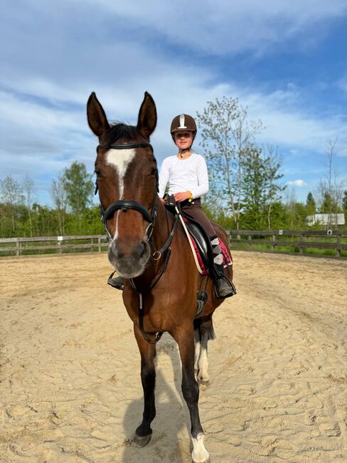 Reiter sucht reitbeteiligung, Leona, Horse Sharing
, Hannover