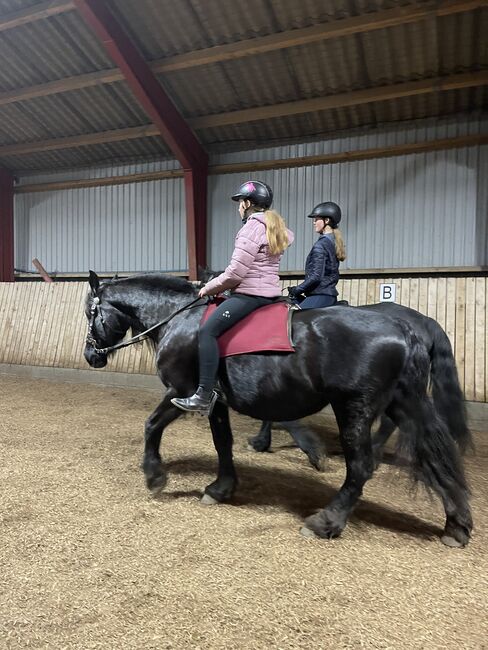 Reiterferien exclusiv maximal 4 Kinder/Personen, Luckyhorseacademy, Reiturlaub, Aabenraa, Abbildung 17