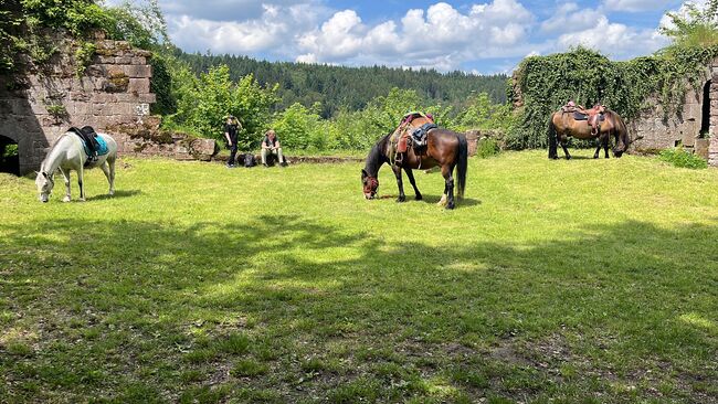 Reiterferien, Wiesentalranch, Reiturlaub, Mudau