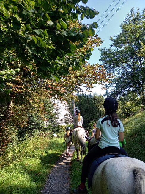 Reiterferien, Wiesentalranch, Reiturlaub, Mudau, Abbildung 4