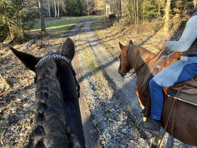 Reiterferien, Wiesentalranch, Reiturlaub, Mudau, Abbildung 7