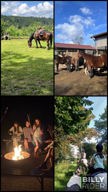Reiterferien, Wiesentalranch, Reiturlaub, Mudau, Abbildung 8