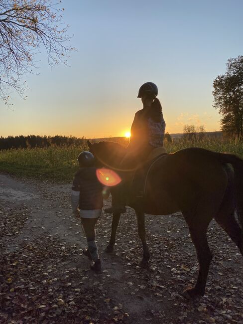 Reiterferien, Wiesentalranch, Reiturlaub, Mudau, Abbildung 3