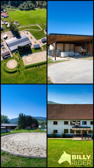 Reiterhof. Vierkanter. Wirtshaus. Zimmervermietung. Wohnungen. Natur., IMMOTEAM4YOU Immobilien GmbH, Pferdeimmobilien, Ternberg, Abbildung 7