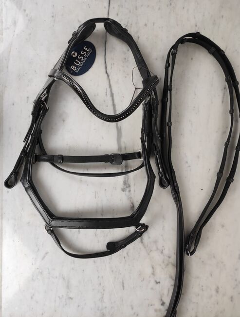Reithalfter Busse Feeling, Busse Feeling, Fabis Lederey, Kempf F. (Fabis Lederey), Nosebands, Pirmasens