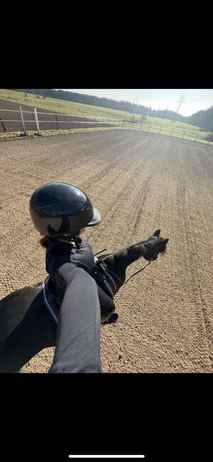 Reithelm Back on Track Lynx EQ3, Back on Track Lynx EQ3 smooth top shiny, Melissa Baldin, Reithelme, Geesthacht , Abbildung 2