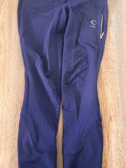 Reithose in 36, Covalliero , Julika , Reithosen, Dannenberg