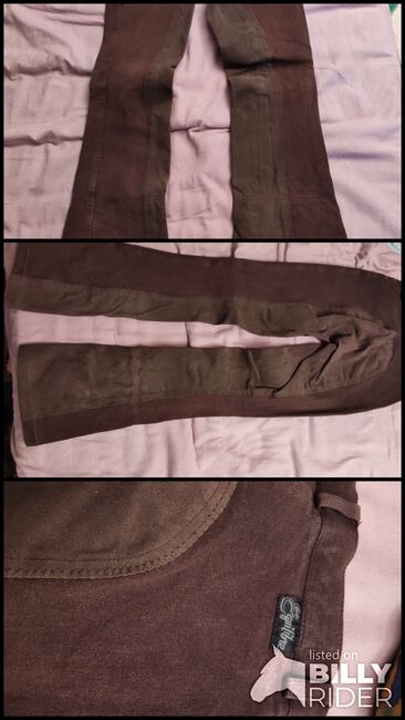 Reithose Dame braun, Equilibre, Eileen, Breeches & Jodhpurs, Leonberg, Image 4