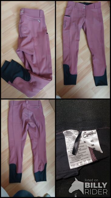 Reithose reitleggins 42, Equilibre , Powerhorse, Reithosen, Ziemetshausen, Abbildung 5