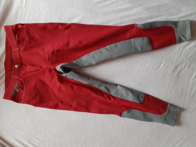 Reithose rot/grau, Eurostar , Tanja von R., Breeches & Jodhpurs, Mainz am Rhein, Image 2